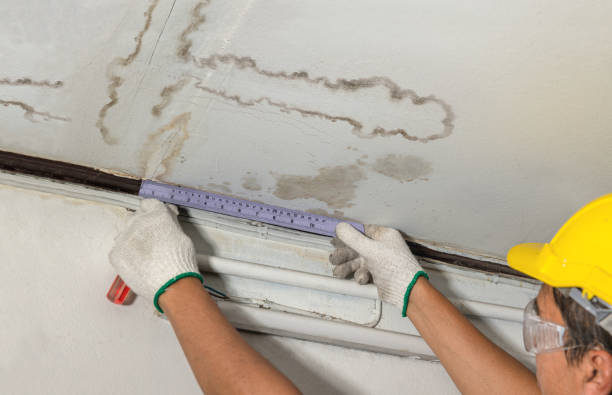 Reliable Water Damage contractor in Paris, OH by Water Damage Irwin